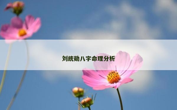 劉統(tǒng)勛八字命理分析