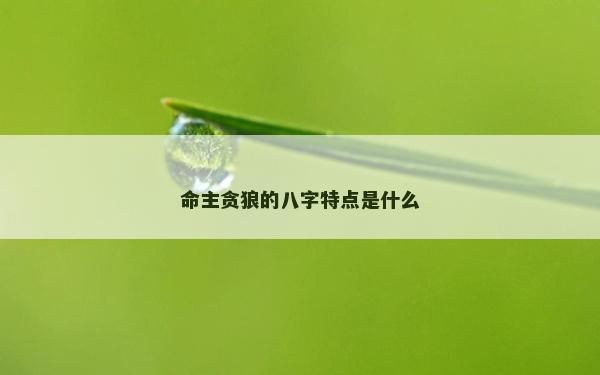 命主貪狼的八字特點是什么 命主貪狼的八字特點是什么