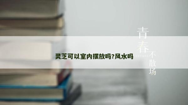 靈芝可以室內(nèi)擺放嗎?風(fēng)水嗎