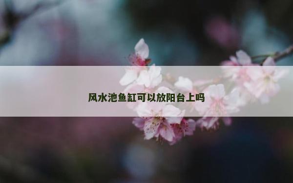 風水池魚缸可以放陽臺上嗎