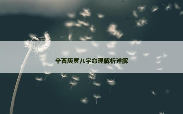 辛酉庚寅八字命理解析詳解