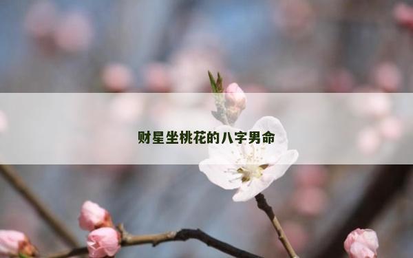 財星坐桃花的八字男命