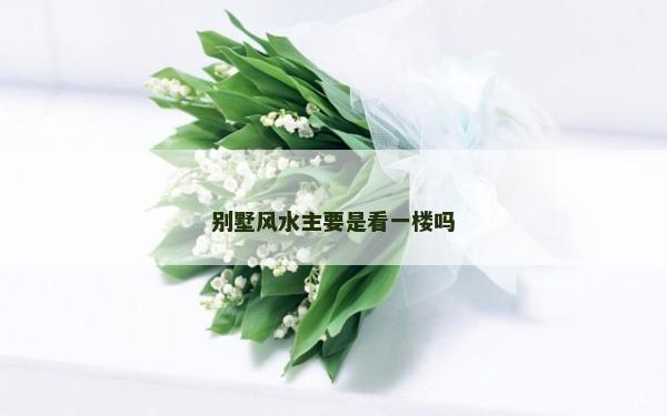 別墅風(fēng)水主要是看一樓嗎 別墅風(fēng)水主要是看一樓嗎