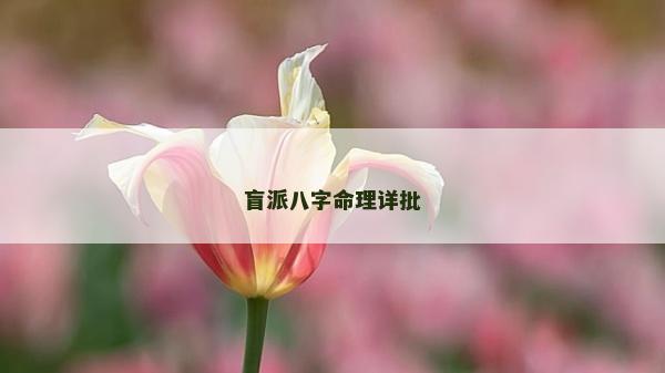 盲派八字命理詳批