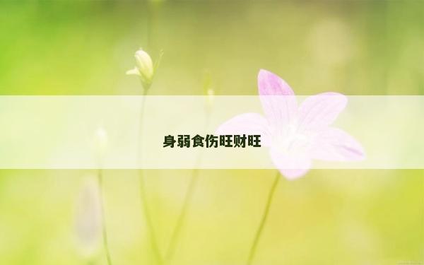 身弱食傷旺財(cái)旺
