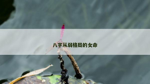 八字從弱格局的女命