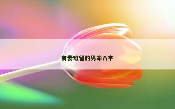 有妻難留的男命八字
