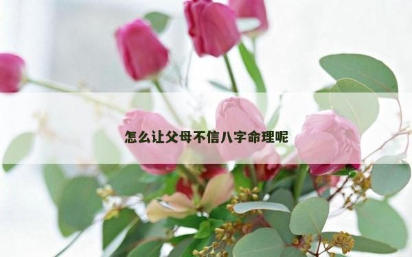 怎么讓父母不信八字命理呢