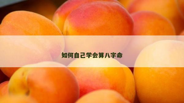如何自己學會算八字命 如何自己學會算八字命