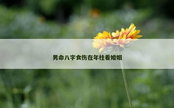男命八字食傷在年柱看婚姻
