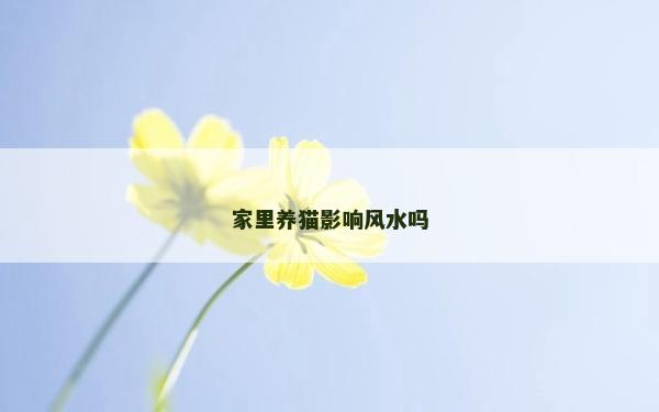 家里養貓影響風水嗎