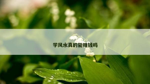 學(xué)風(fēng)水真的能賺錢嗎