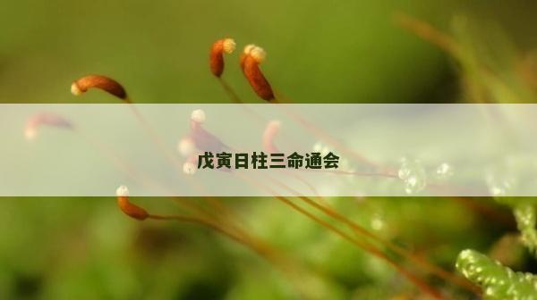 戊寅日柱三命通會(huì)