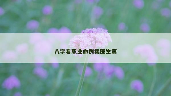 八字看職業命例集醫生篇