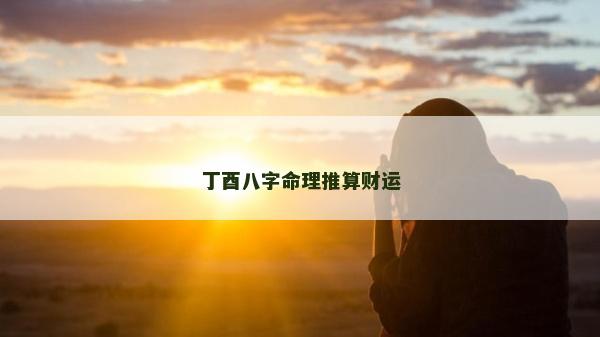 丁酉八字命理推算財運