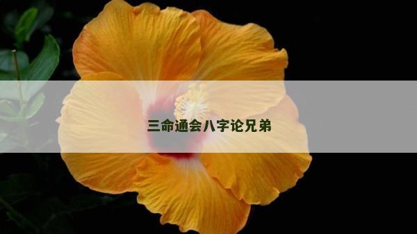 三命通會八字論兄弟