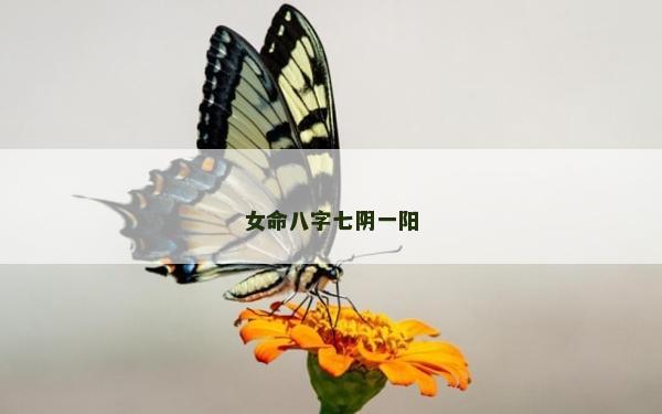 女命八字七陰一陽