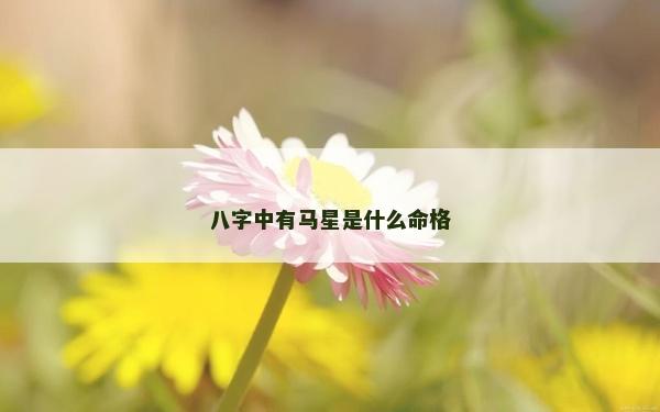 八字中有馬星是什么命格