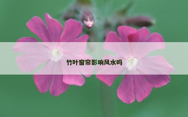 竹葉窗簾影響風水嗎