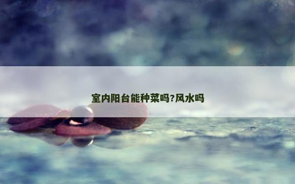 室內陽臺能種菜嗎?風水嗎