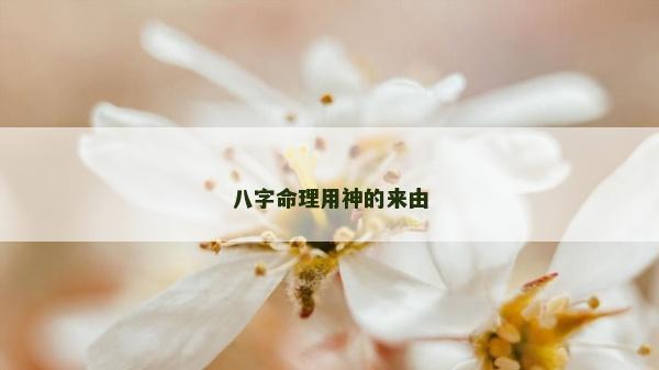 八字命理用神的來由