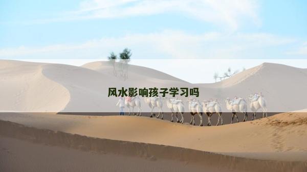 風水影響孩子學習嗎