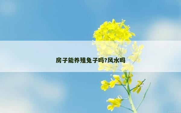 房子能養殖兔子嗎?風水嗎