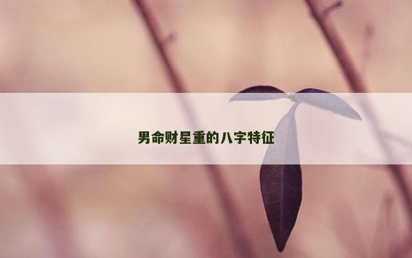男命財星重的八字特征