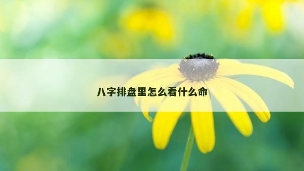 八字排盤里怎么看什么命