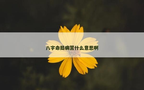 八字命局病苦什么意思啊