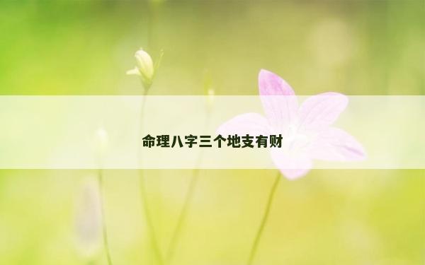 命理八字三個地支有財