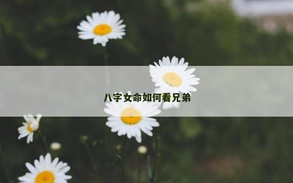 八字女命如何看兄弟