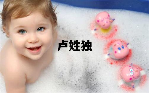 盧姓獨特優美的女孩名字