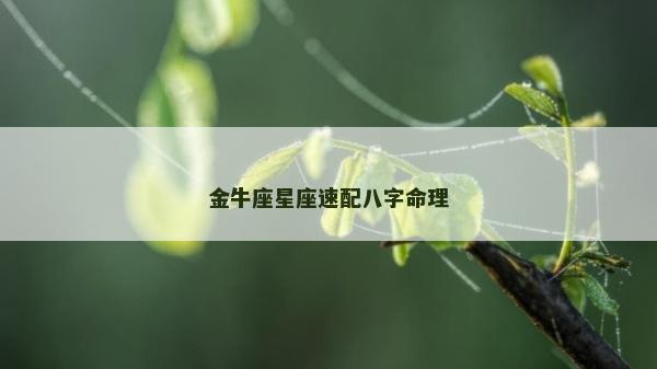 金牛座星座速配八字命理