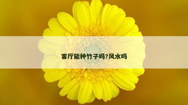 客廳能種竹子嗎?風(fēng)水嗎
