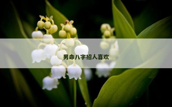 男命八字招人喜歡