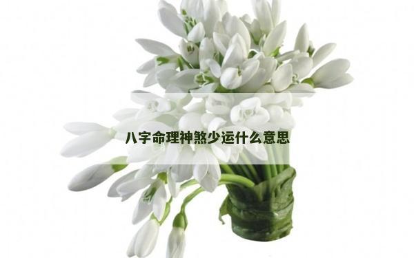 八字命理神煞少運什么意思