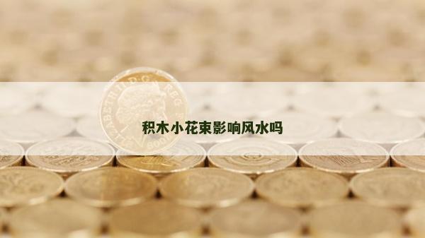 積木小花束影響風(fēng)水嗎