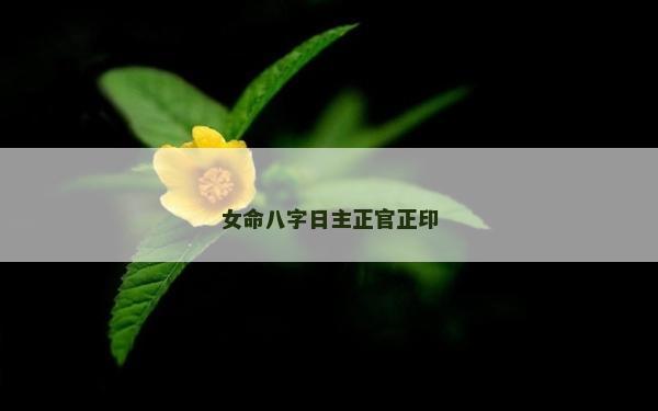 女命八字日主正官正印