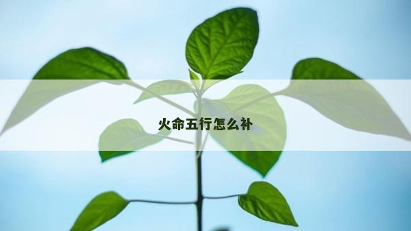 火命五行怎么補