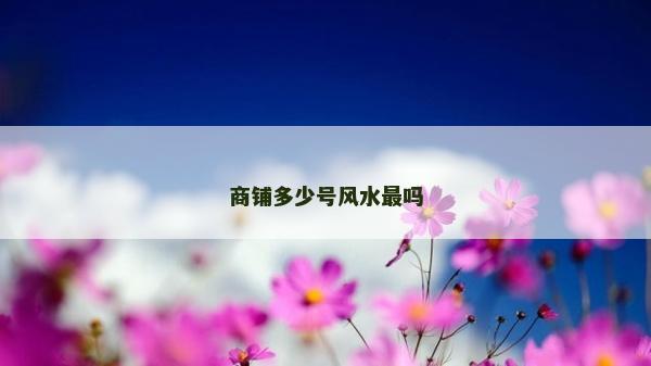商鋪多少號風水最嗎 商鋪多少號風水最嗎