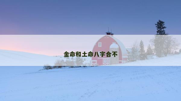 金命和土命八字合不