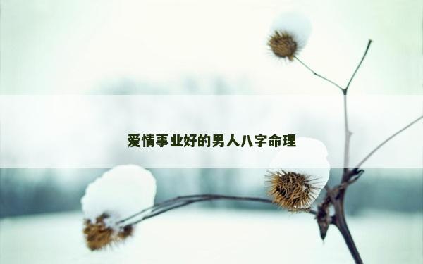 愛情事業(yè)好的男人八字命理