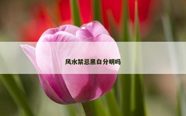 風(fēng)水禁忌黑白分明嗎