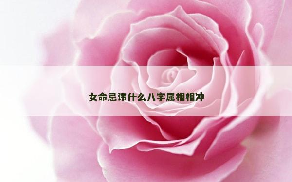 女命忌諱什么八字屬相相沖