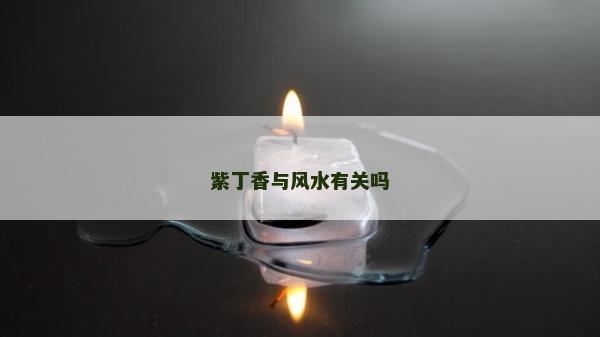 紫丁香與風水有關嗎