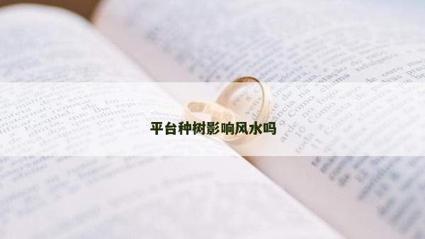 平臺種樹影響風(fēng)水嗎