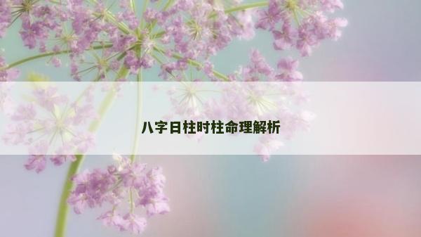 八字日柱時(shí)柱命理解析