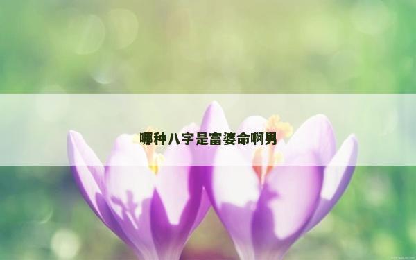 哪種八字是富婆命啊男