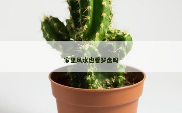 家里風(fēng)水也看羅盤嗎